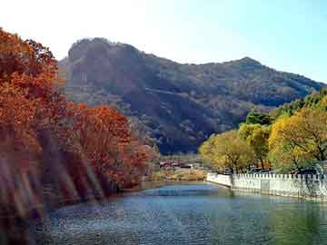 澳门二四六天天免费好材料，丽水星空影院